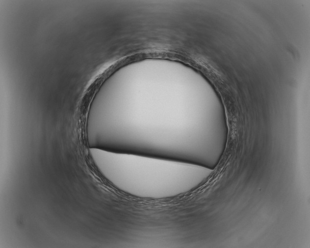 X0000115651208200911101109