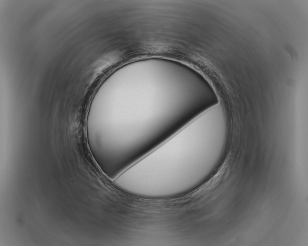 X0000115651210200911101109