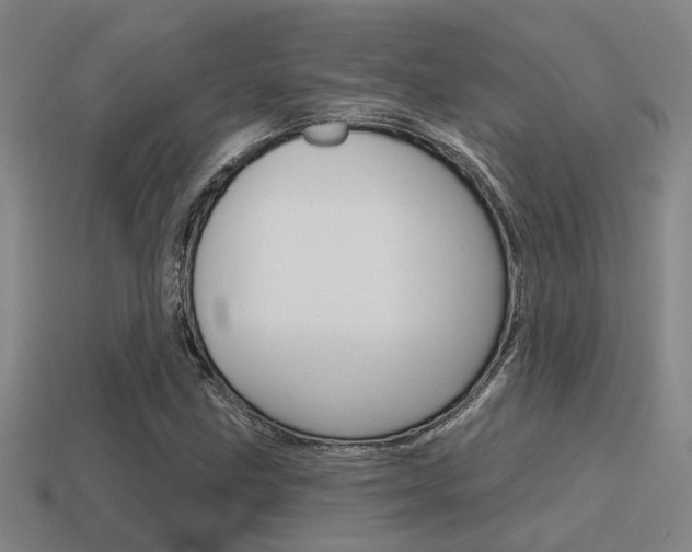 X0000115651211200911101109