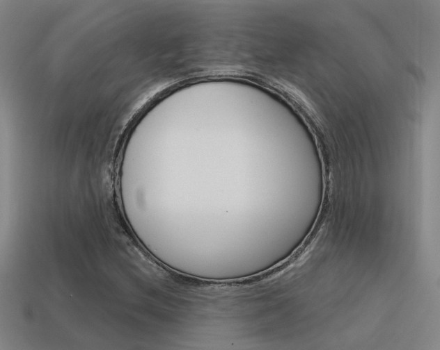 X0000115651212200911101109