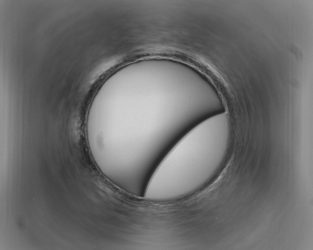 X0000115651213200911101109