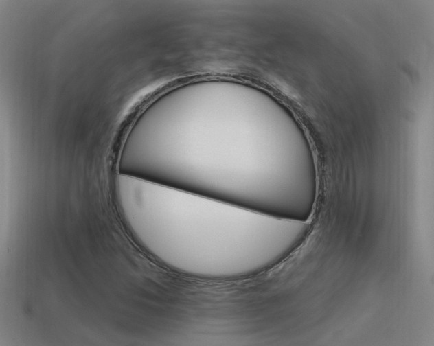 X0000115651214200911101109