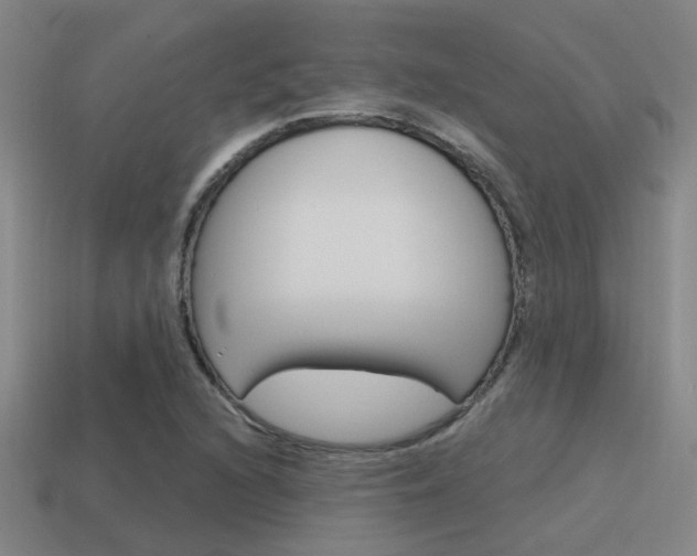 X0000115651216200911101109