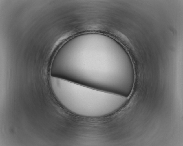 X0000115651218200911101109