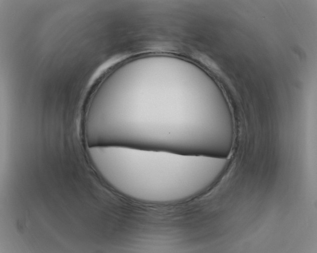 X0000115651222200911101109