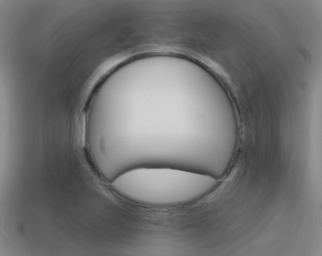 X0000115651223200911101109