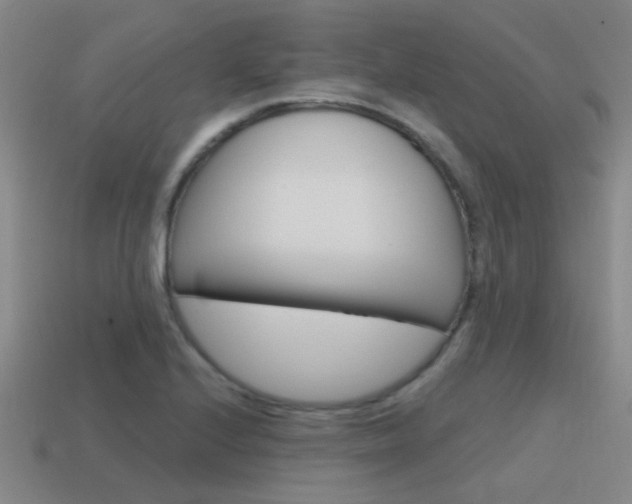 X0000115651224200911101109