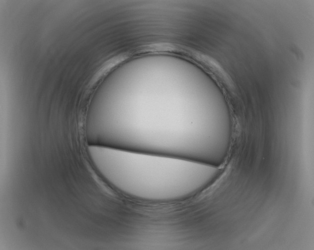 X0000115651225200911101109
