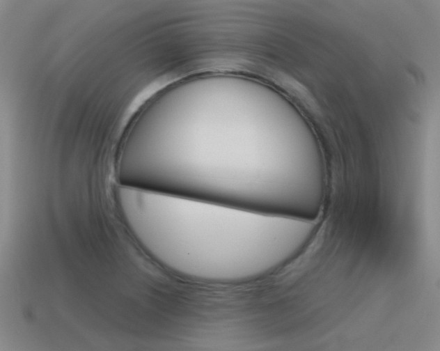 X0000115651226200911101109