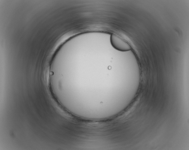 X0000115651227200911101110