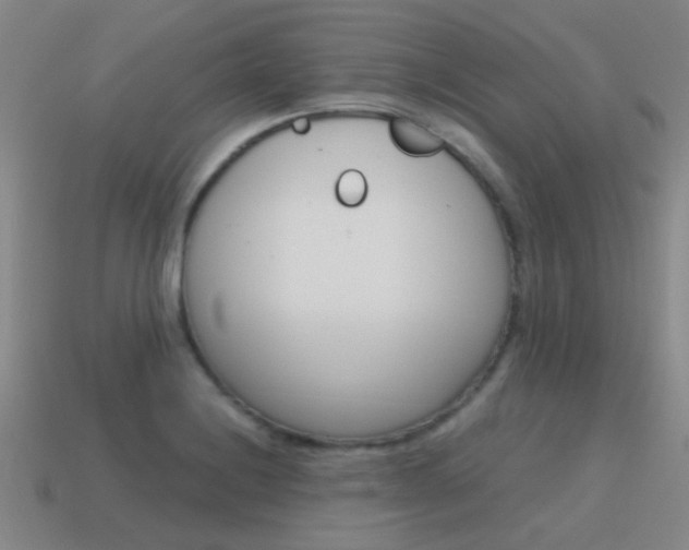 X0000115651228200911101110