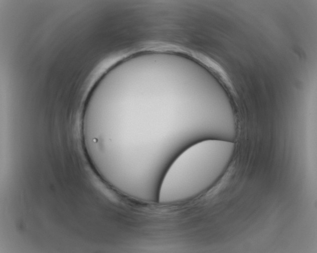 X0000115651231200911101110