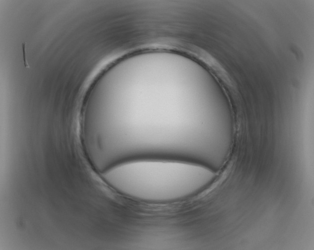 X0000115651232200911101110