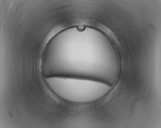 X0000115651234200911101110