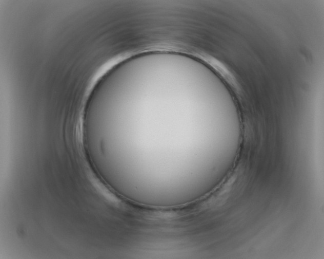 X0000115651238200911101110