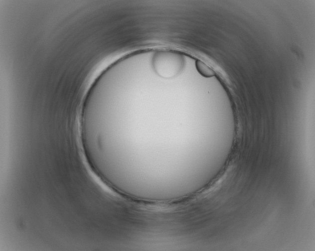 X0000115651239200911101110