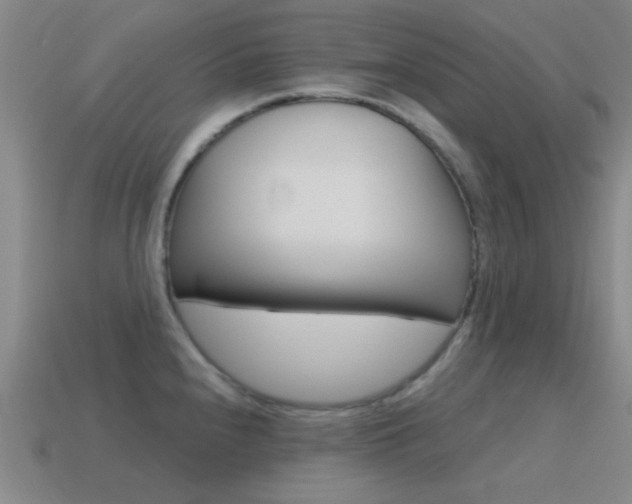 X0000115651240200911101110
