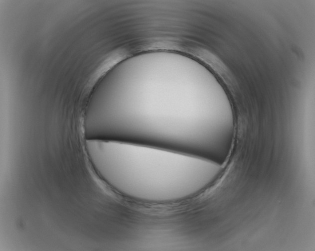 X0000115651241200911101110