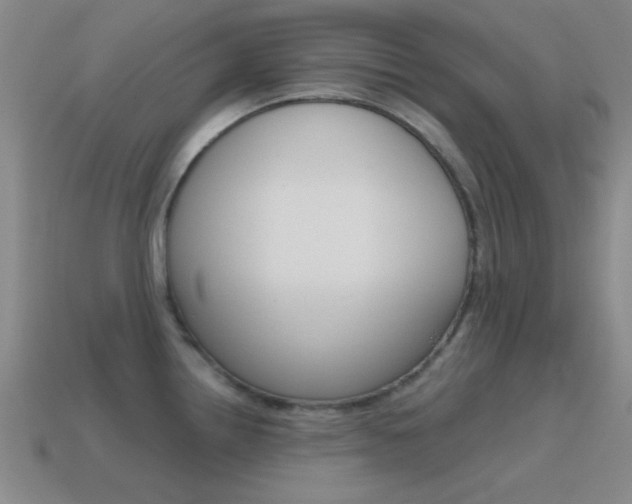 X0000115651242200911101110