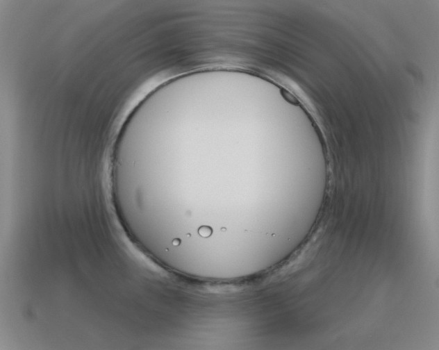X0000115651243200911101110