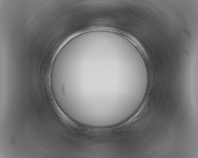 X0000115651244200911101110