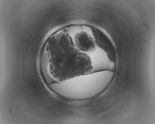 X0000115651245200911101110