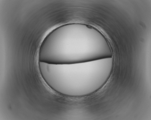 X0000115651246200911101110