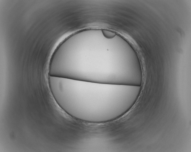 X0000115651248200911101110