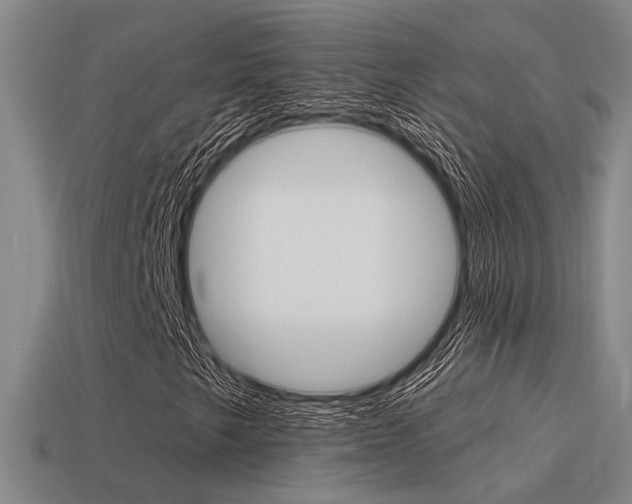 X0000115651249200911101109