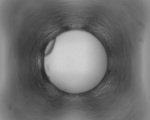 X0000115651250200911101109