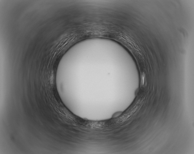 X0000115651251200911101109