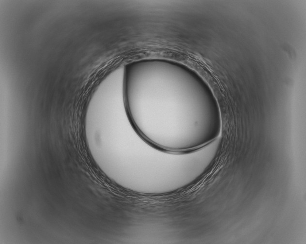 X0000115651253200911101109