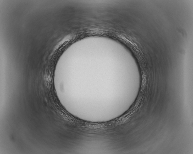 X0000115651254200911101109