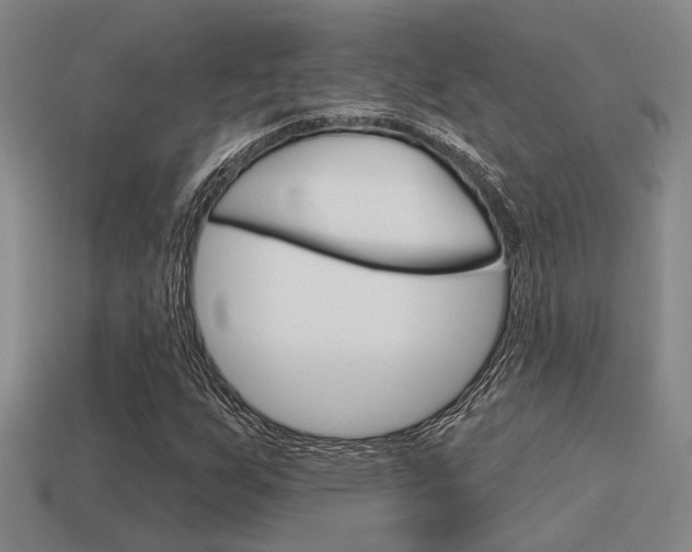 X0000115651255200911101109
