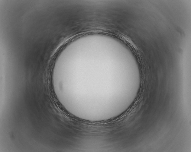 X0000115651256200911101109
