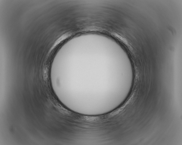 X0000115651258200911101109