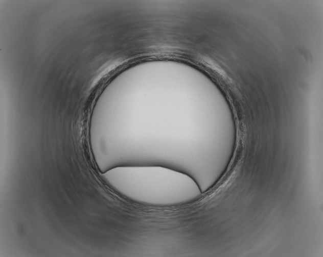 X0000115651259200911101109