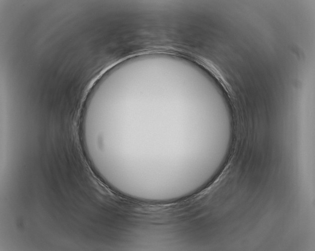 X0000115651260200911101109