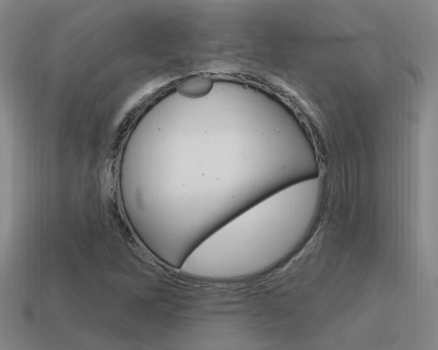 X0000115651262200911101109