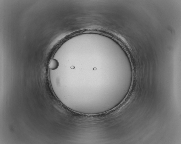 X0000115651263200911101109