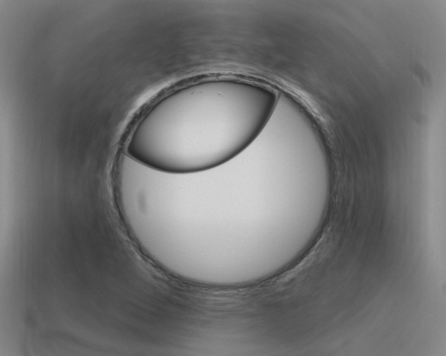 X0000115651264200911101109
