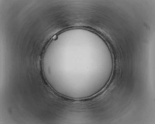 X0000115651265200911101109