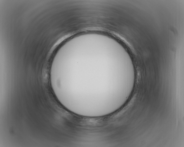 X0000115651266200911101109