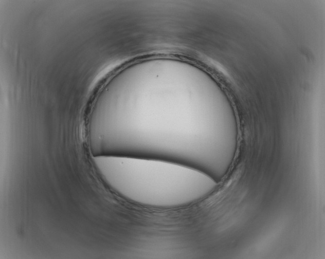 X0000115651267200911101109