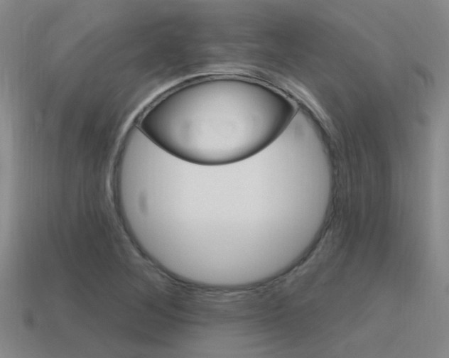 X0000115651268200911101109