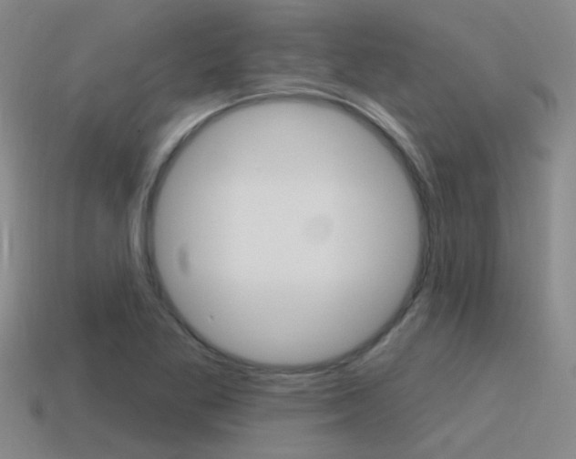 X0000115651269200911101109