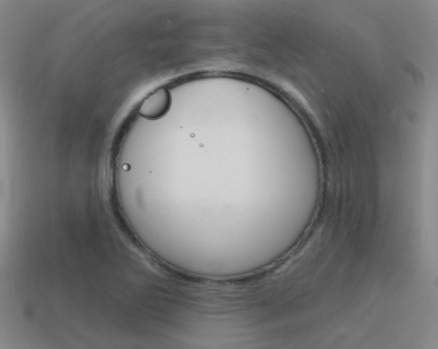 X0000115651270200911101109