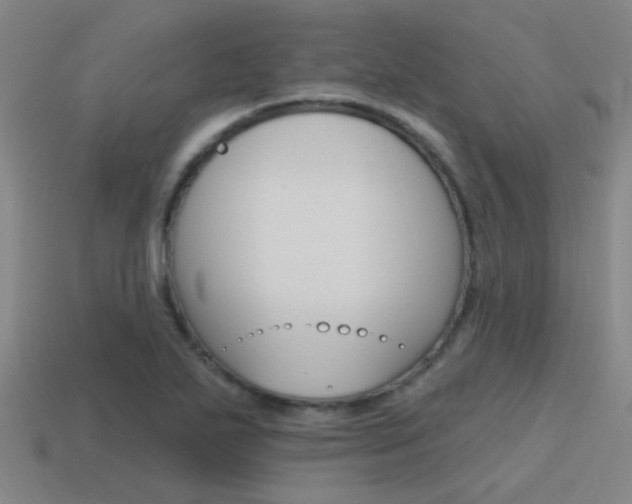 X0000115651271200911101109