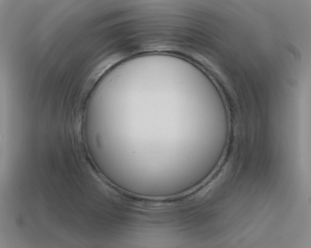 X0000115651273200911101109