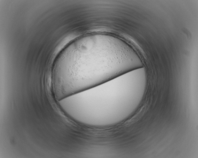 X0000115651274200911101109